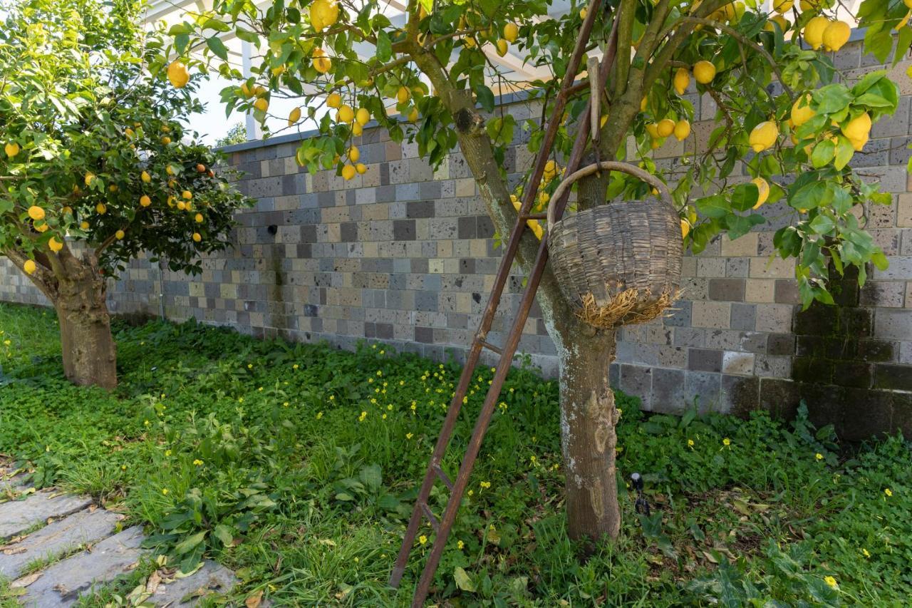 Tenuta Di Leva Пиано ди Соренто Екстериор снимка